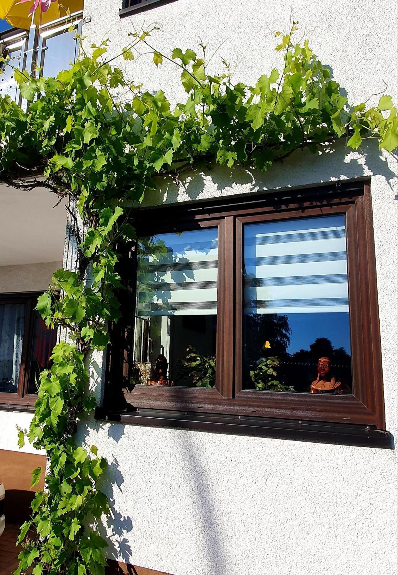 Karibu Apartment Tiefenthal Стая снимка
